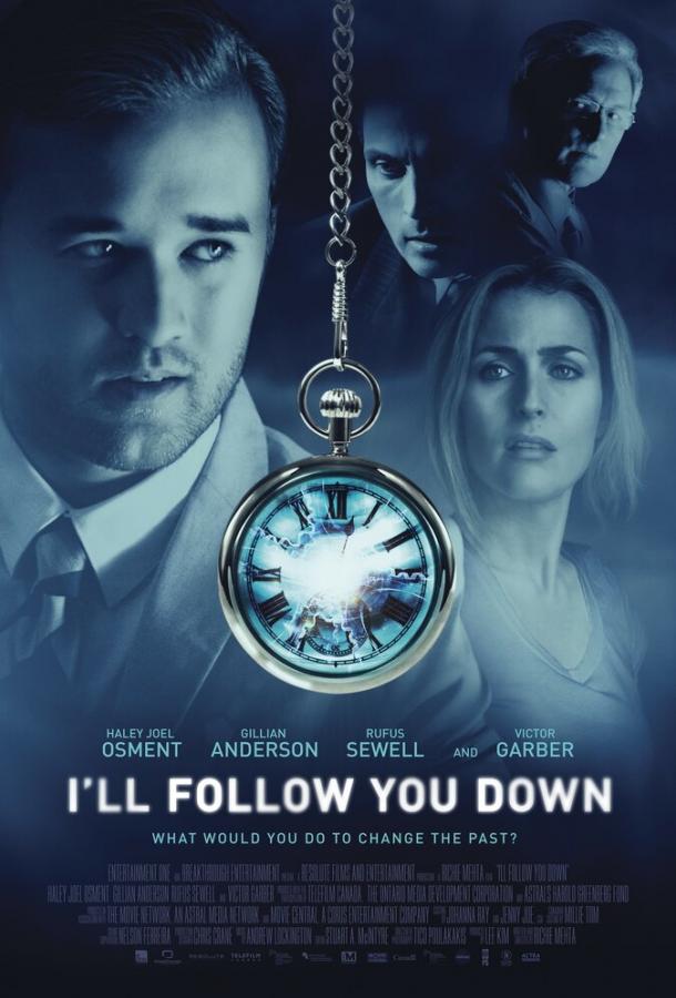 Я последую за тобой (2013) 