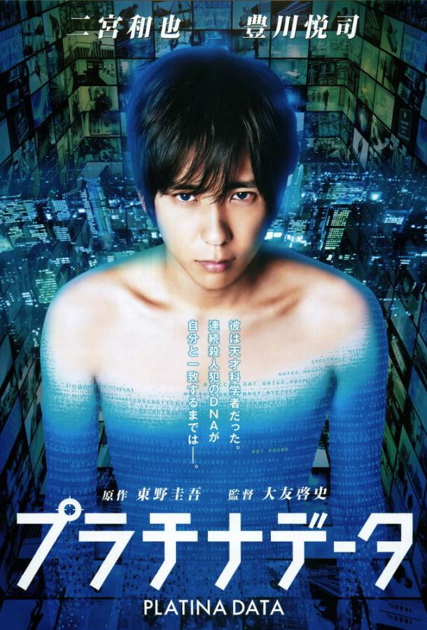Платиновые данные (2013) 