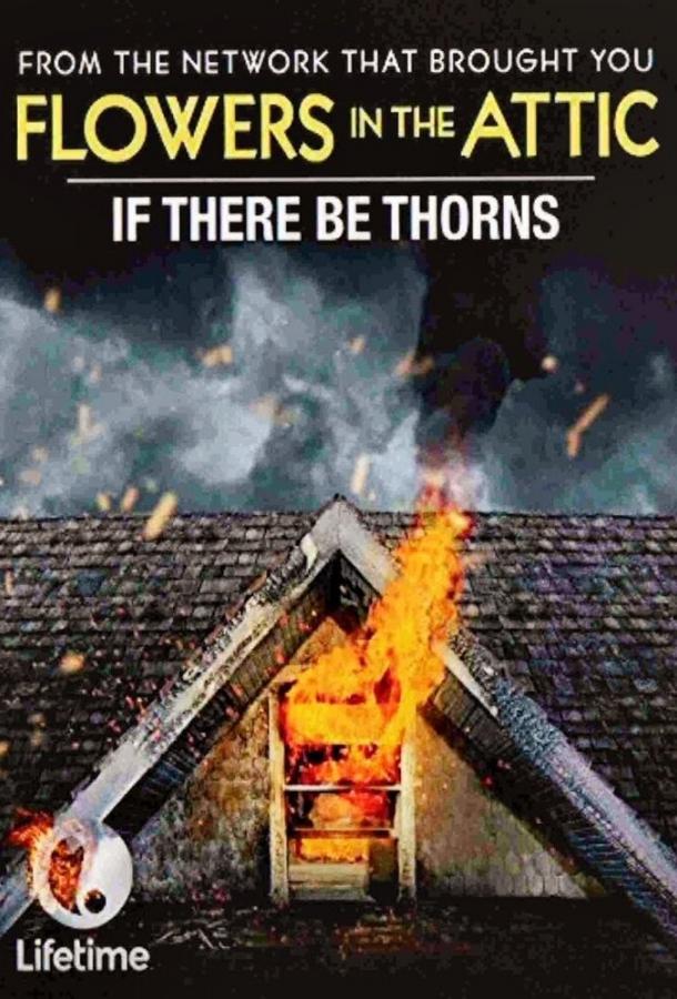 Сквозь тернии (2015) 