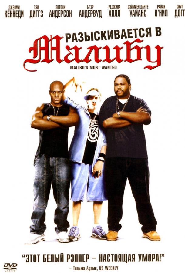 Разыскиваются в Малибу (2003) 