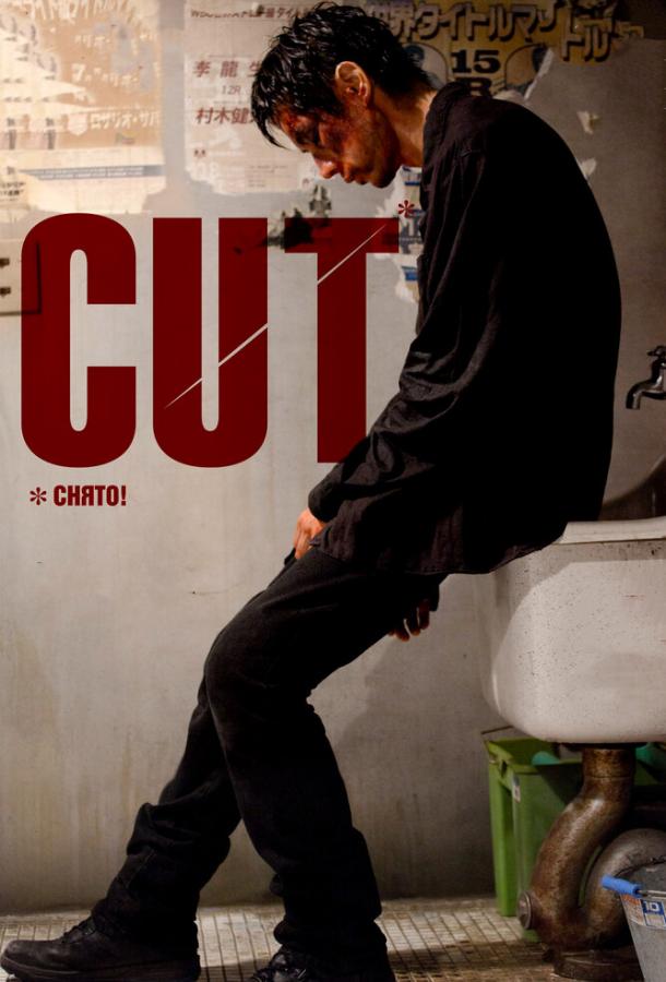 Снято! (2011) 