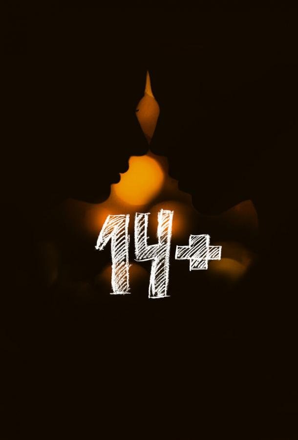 14+ (2015) 