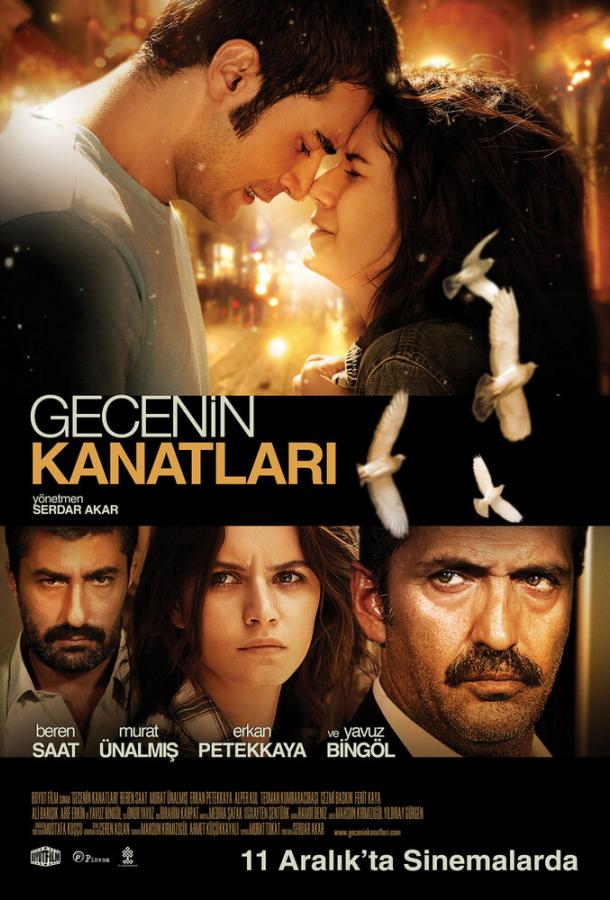 Крылья Гедже (2009) 