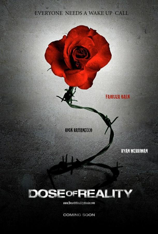 Доза реальности (2013) 