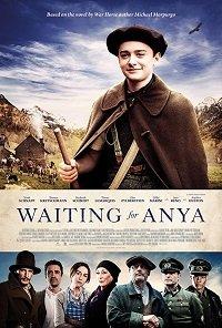 В ожидании Ани (2020) 