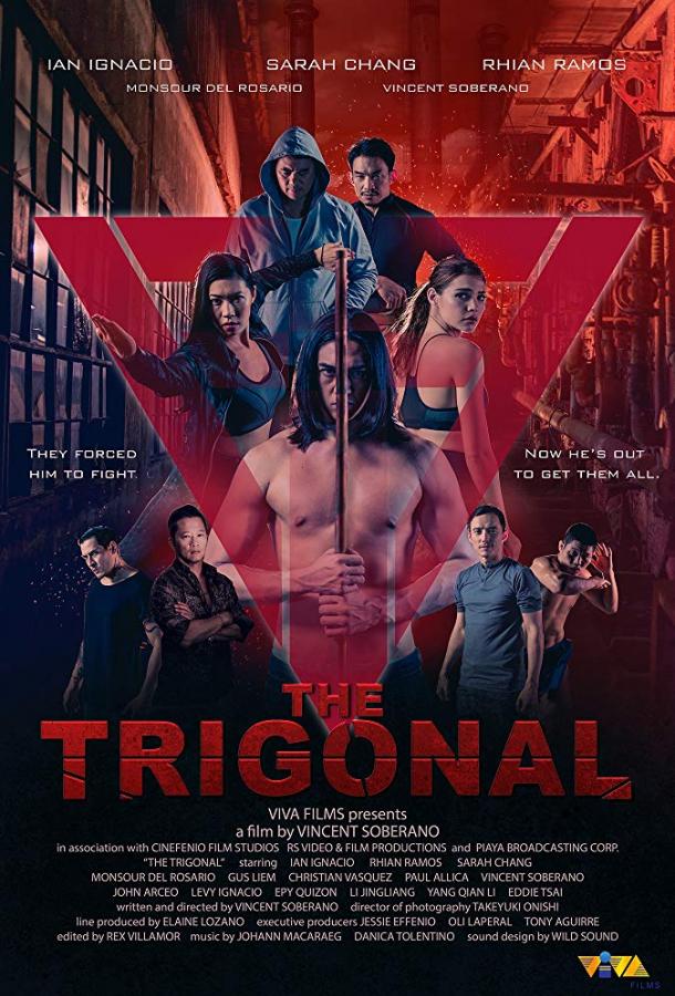 Тригонал: Борьба за справедливость (2018) 