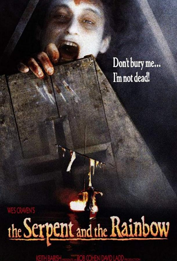 Змей и радуга (1987) 