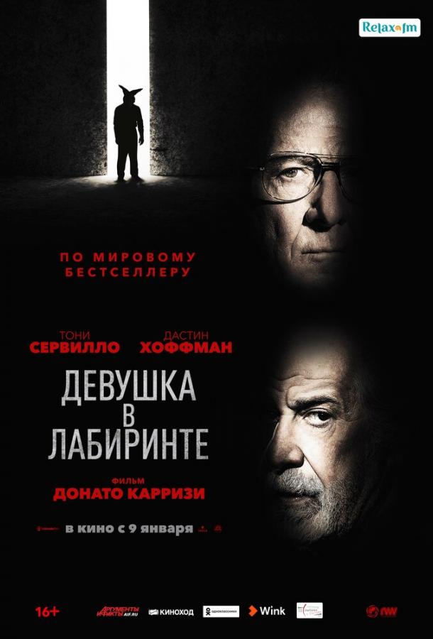 Девушка в лабиринте (2019) 