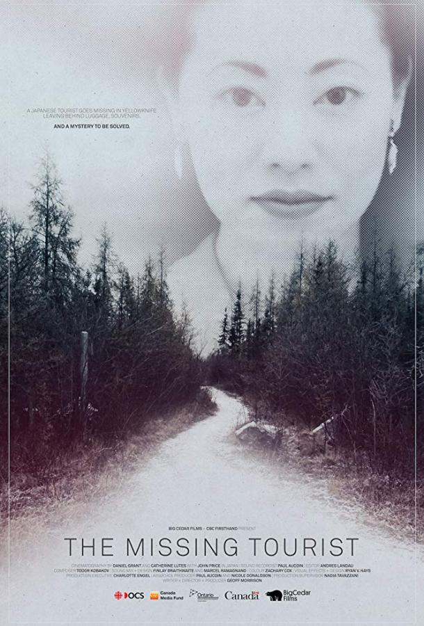 Исчезновение туристки (2017) 