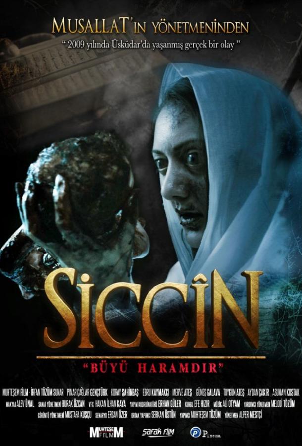 Сиджин (2014) 