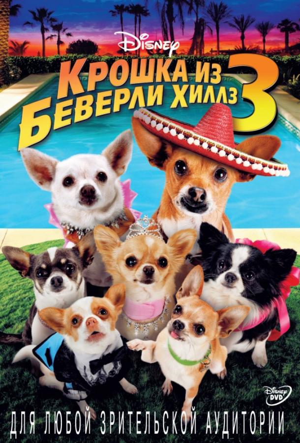 Крошка из Беверли-Хиллз 3 (2012) 