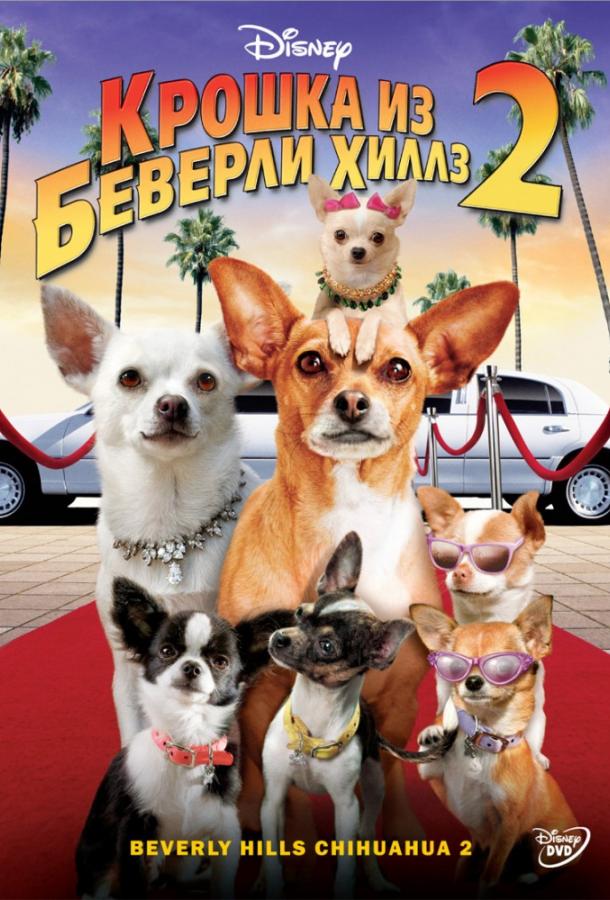 Крошка из Беверли-Хиллз 2 (2010) 