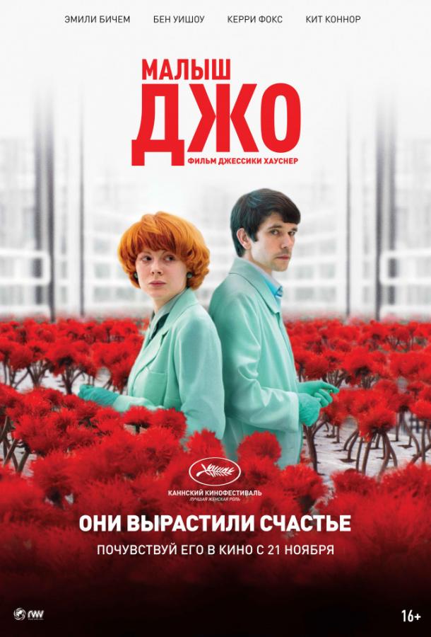 Малыш Джо (2019) 