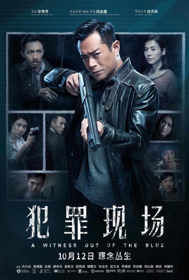 Неожиданный свидетель (2019) 