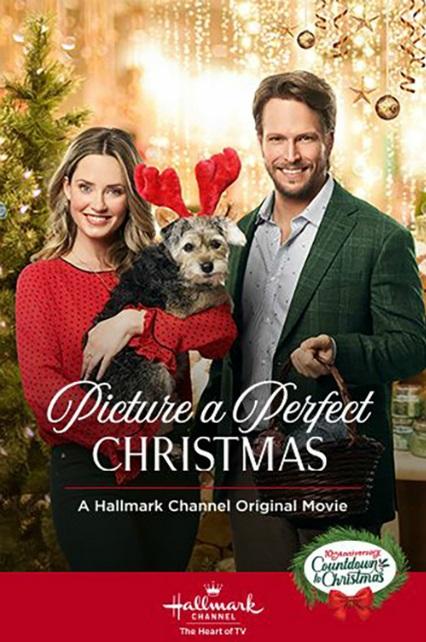 Образ идеального Рождества (2019) 