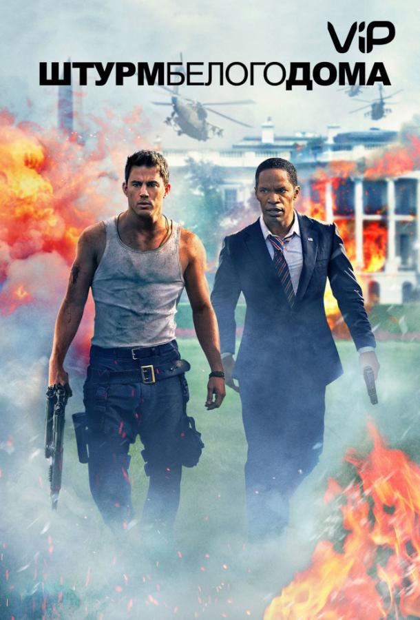 Штурм Белого дома (2013) 