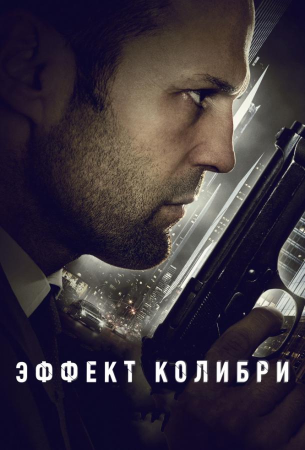 Эффект колибри (2012) 