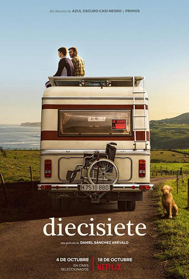 17-летний / Семнадцать (2019) 