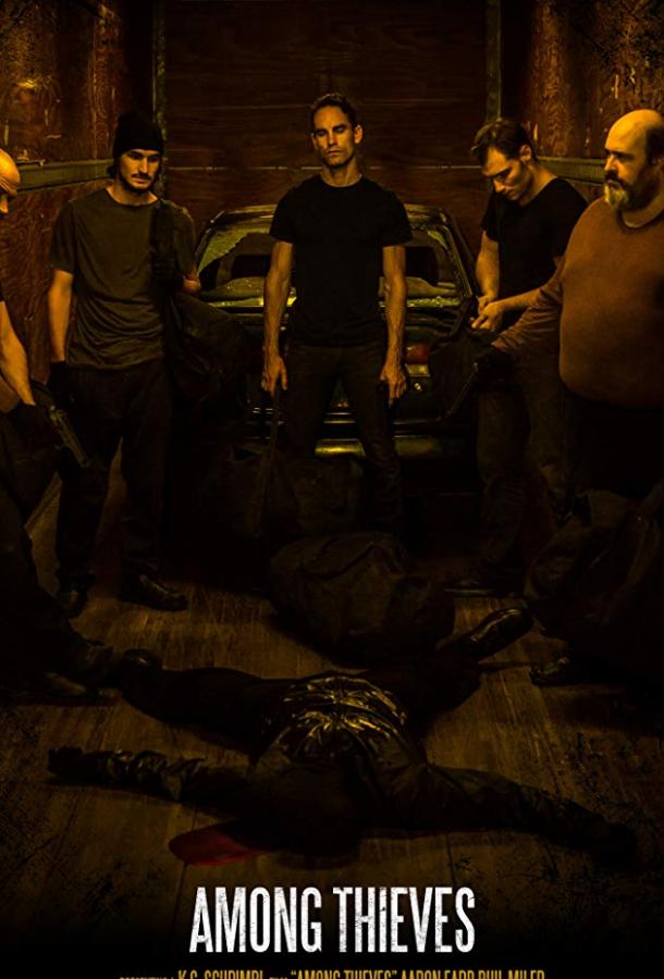 Среди грабителей (2019) 