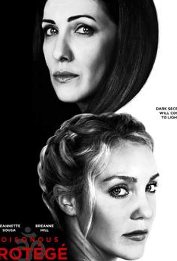 Роковая ассистентка (2019) 