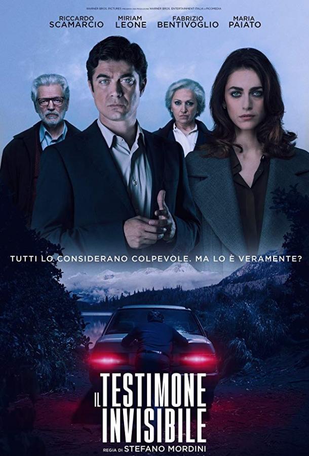 Невидимый свидетель (2018) 