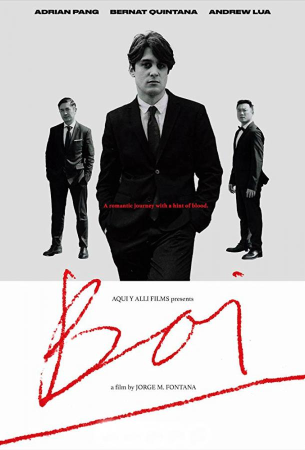 Бой (2019) 