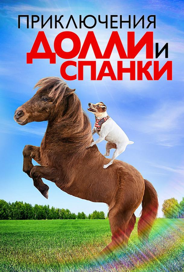 Приключения Долли и Спанки (2019) 