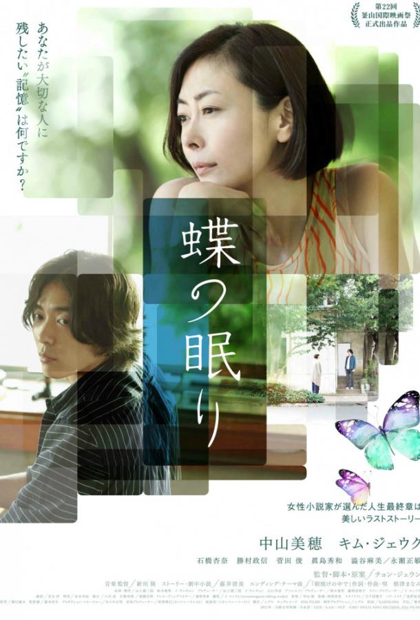 Сон бабочки (2017) 