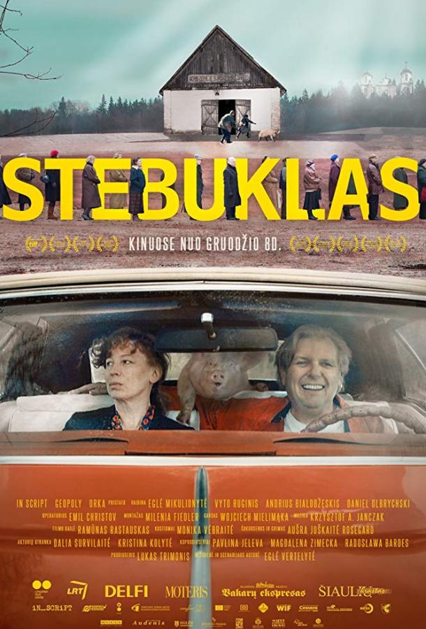 Чудо (2017) 