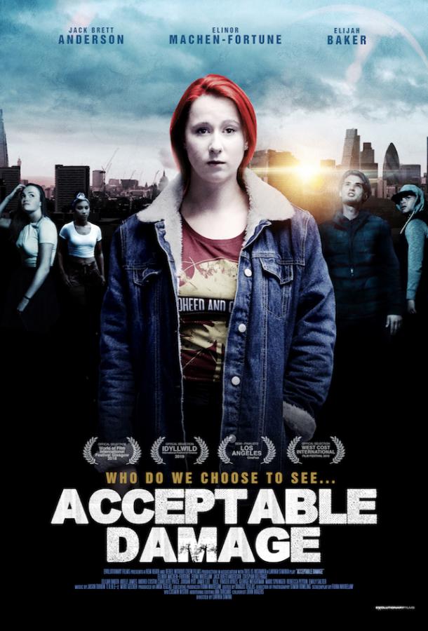 Допустимый ущерб (2019) 