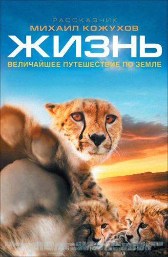 Жизнь (2011) 