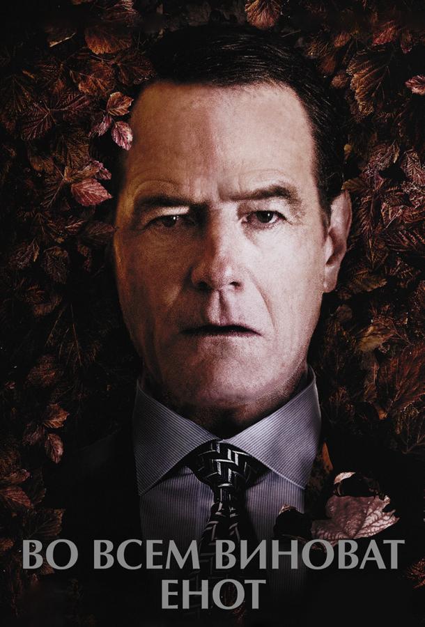 Во всем виноват енот (2016) 