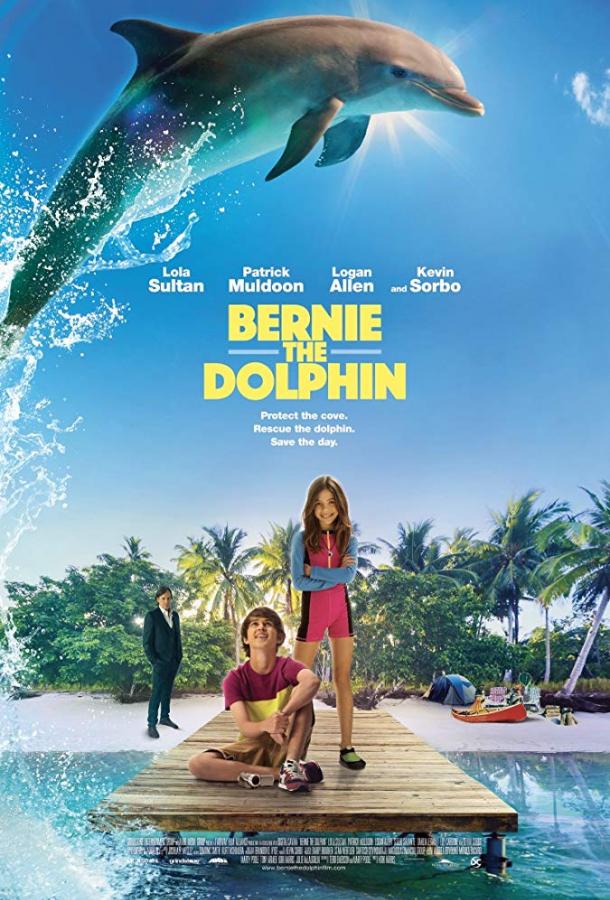 Дельфин Берни (2018) 