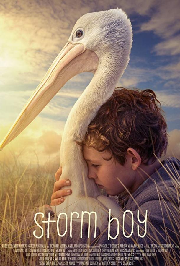 Штормовой мальчик (2019) 