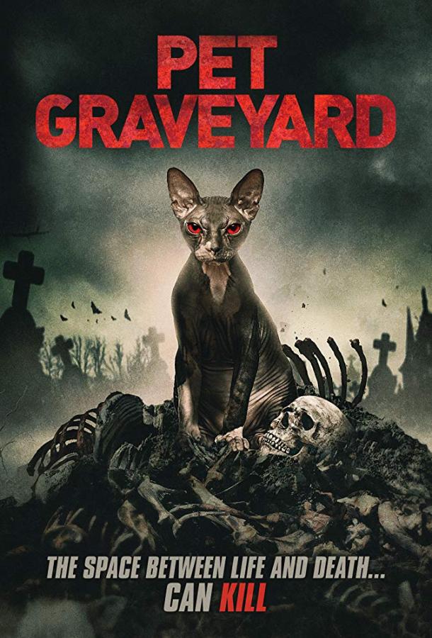 Кладбище домашних животных (2019) 