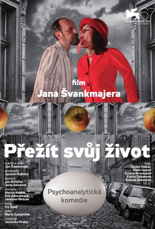 Пережить свою жизнь (2010) 