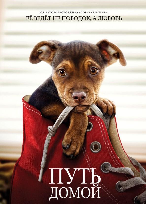 Путь домой (2019) 