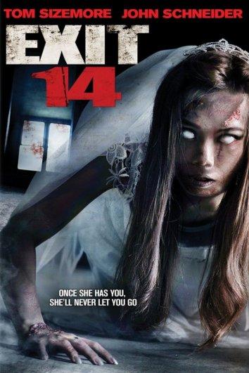 Четырнадцатый выезд (2016) 