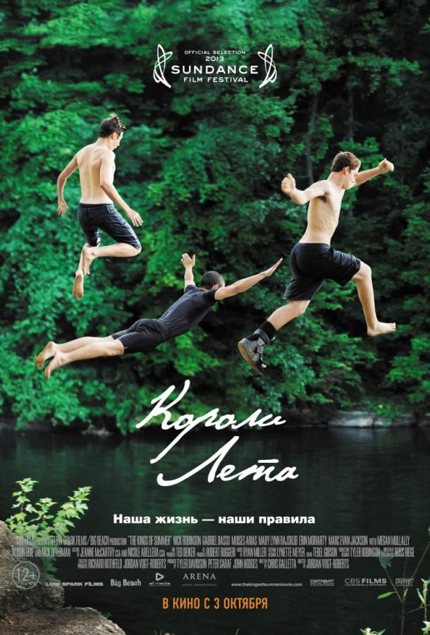 Короли лета (2013) 