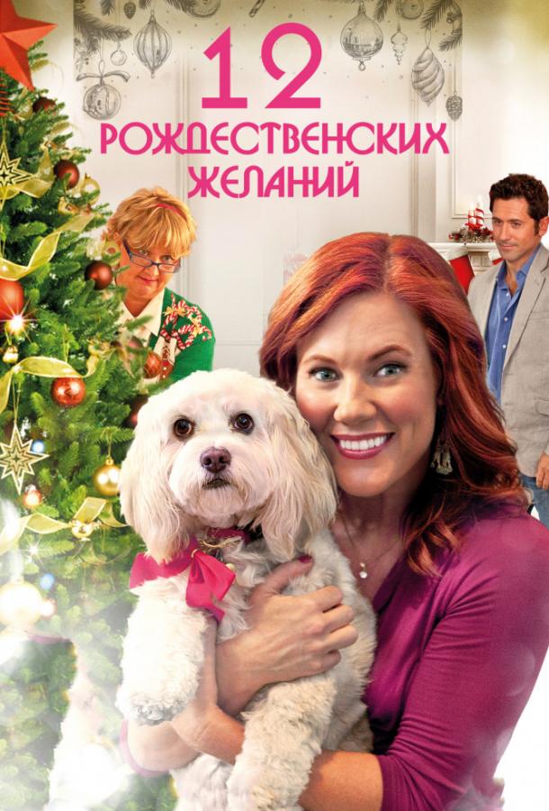 12 Рождественских желаний (2011) 