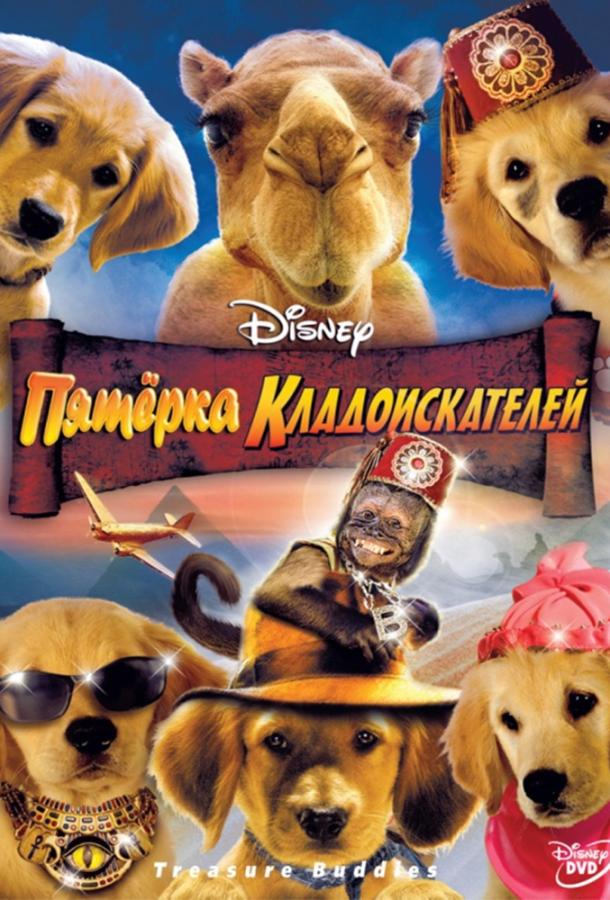 Пятерка кладоискателей (2012) 