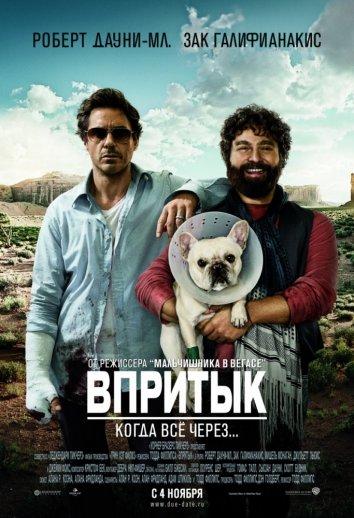 Впритык (2010) 