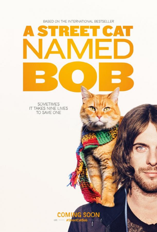 Уличный кот по кличке Боб (2016) 