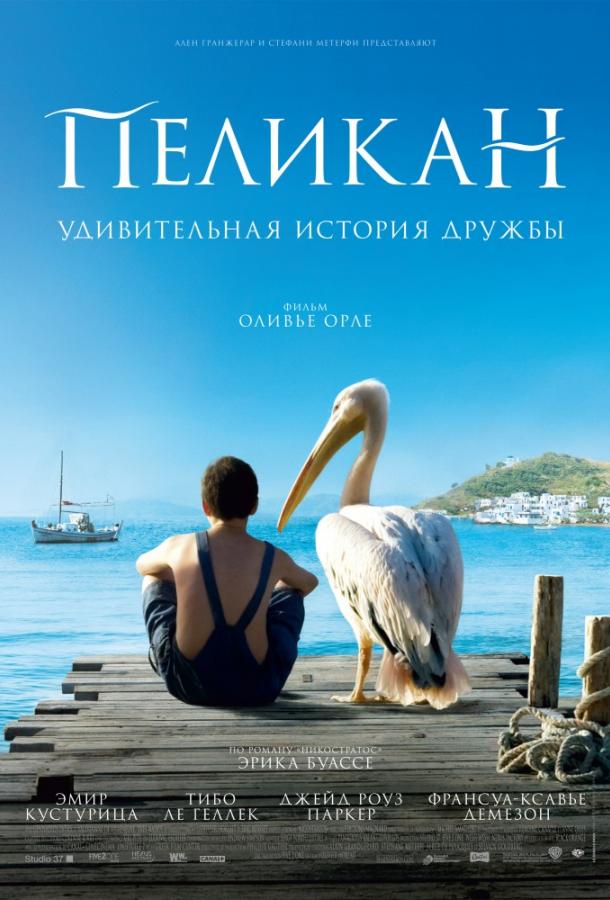 Пеликан (2011) 