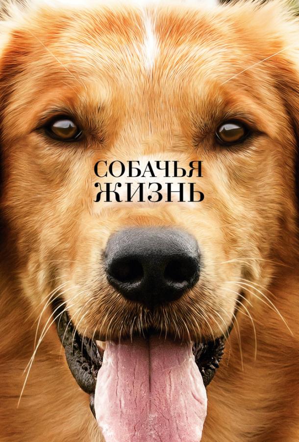 Собачья жизнь (2017) 