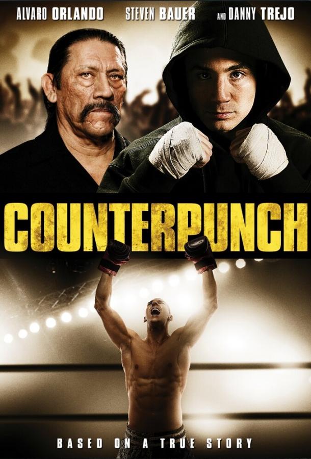 Контрудар (2012) 