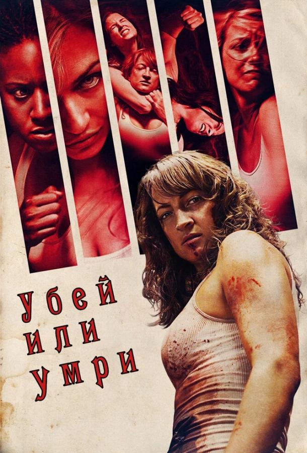 Убей или умри (2013) 