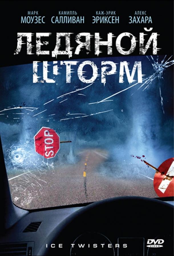 Ледяной шторм (2009) 