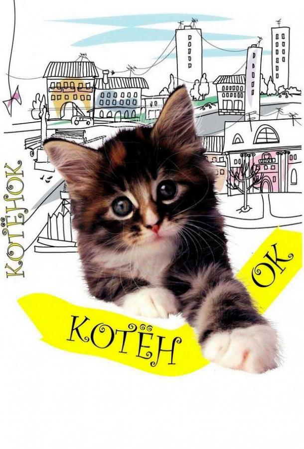 Котенок (1996) 
