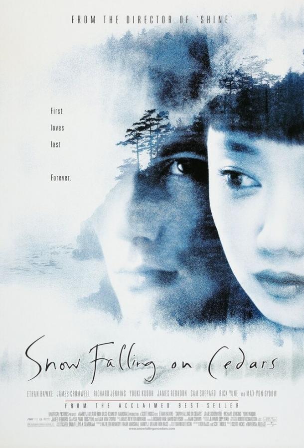 Заснеженные кедры (1999) 